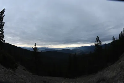 DSC_0116 (Large).JPG